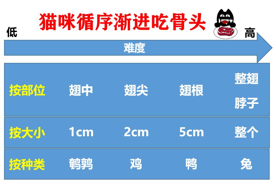 猫咪为什么不能吃骨头,猫为什么要让猫咪吃骨头