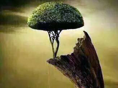 城府极深的人都有的7大特征,一个城府极深的人都有哪些特征