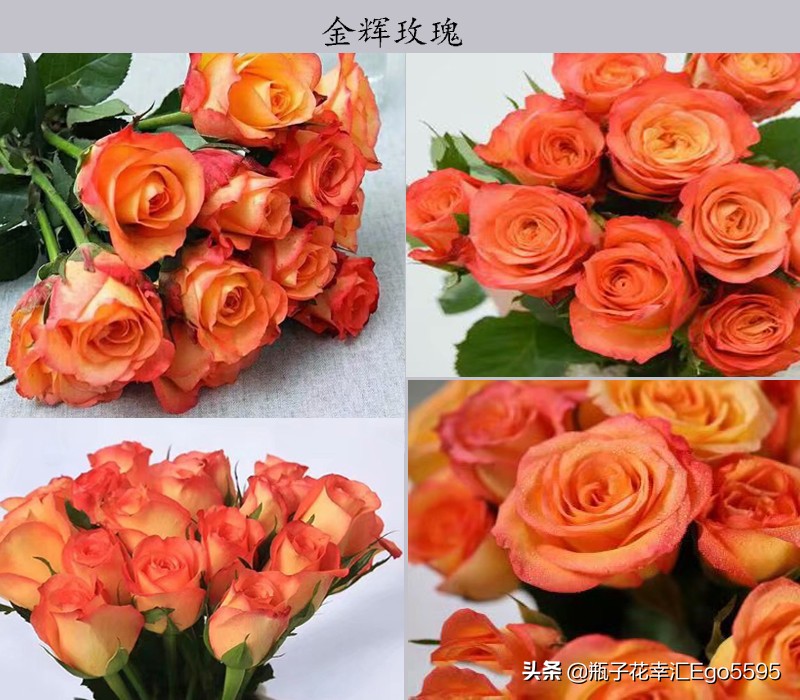 黄玫瑰粉玫瑰的浪漫花语,粉色玫瑰花和粉色郁金香的花语