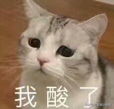 小成本翻新老旧房,低价爆改老房