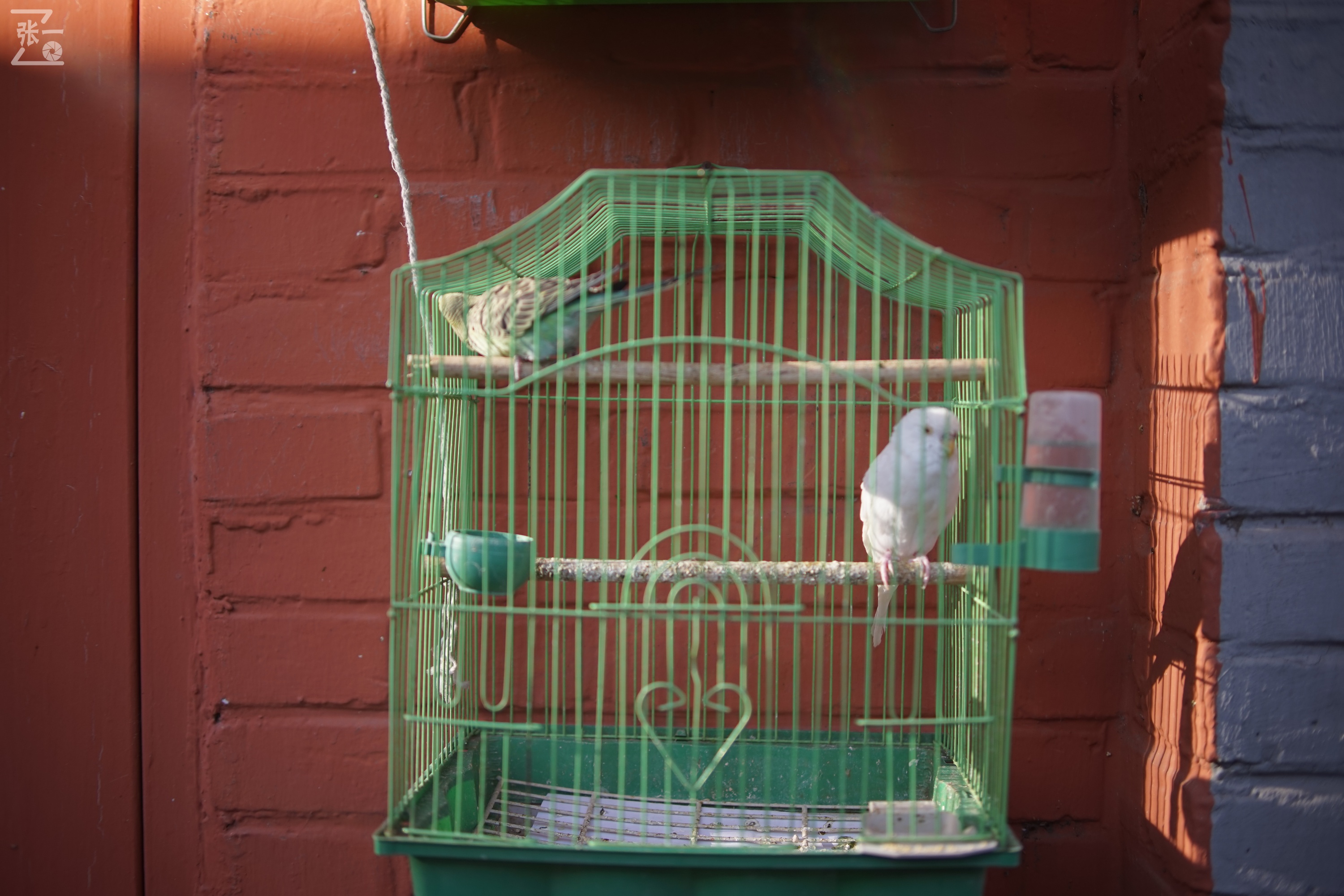 国产中一光学35/2镜头+索尼微单实拍北京798艺术区