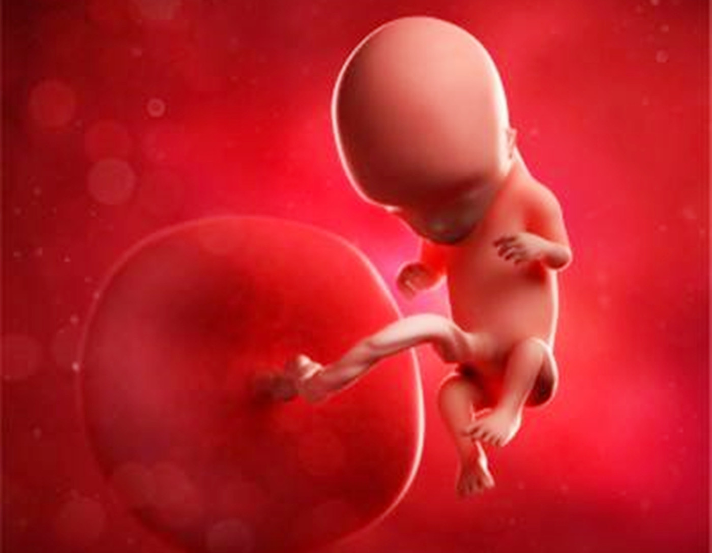 孕晚期数胎动怎么算一次,孕妇如何数一小时内胎动次数