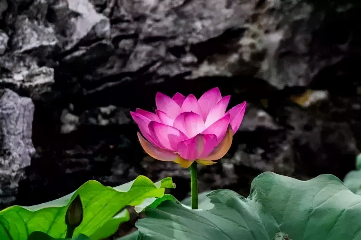 西安出发到云南跟团游推荐,6月西安到云南5天旅游攻略