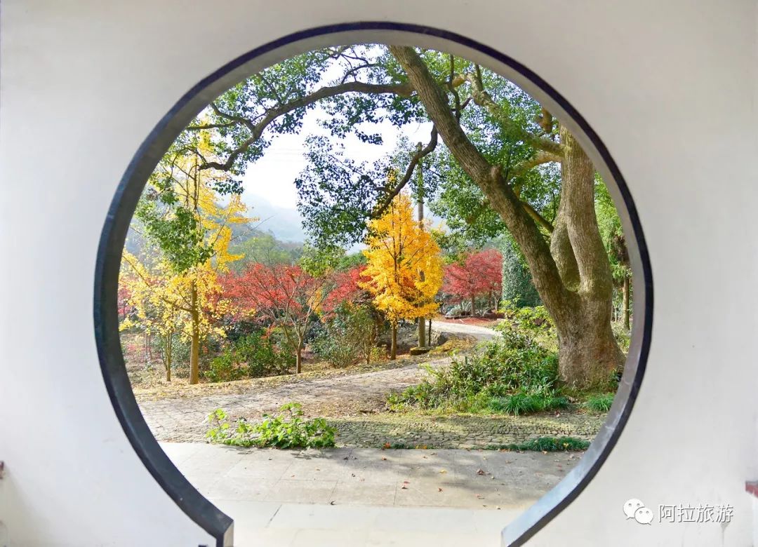 时髦！这座沿海小城居然藏着一波小众新玩法！|“...