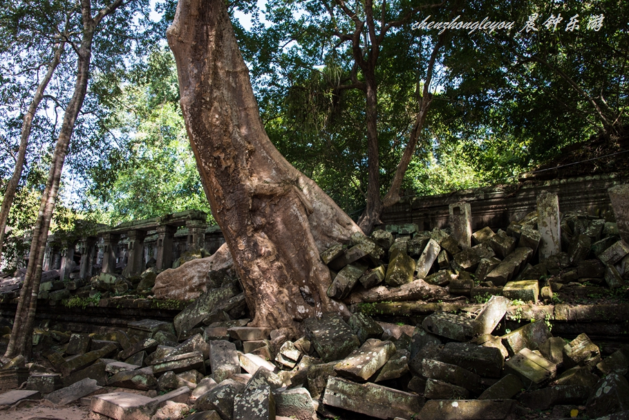 崩密列的简介,崩密列的详细介绍