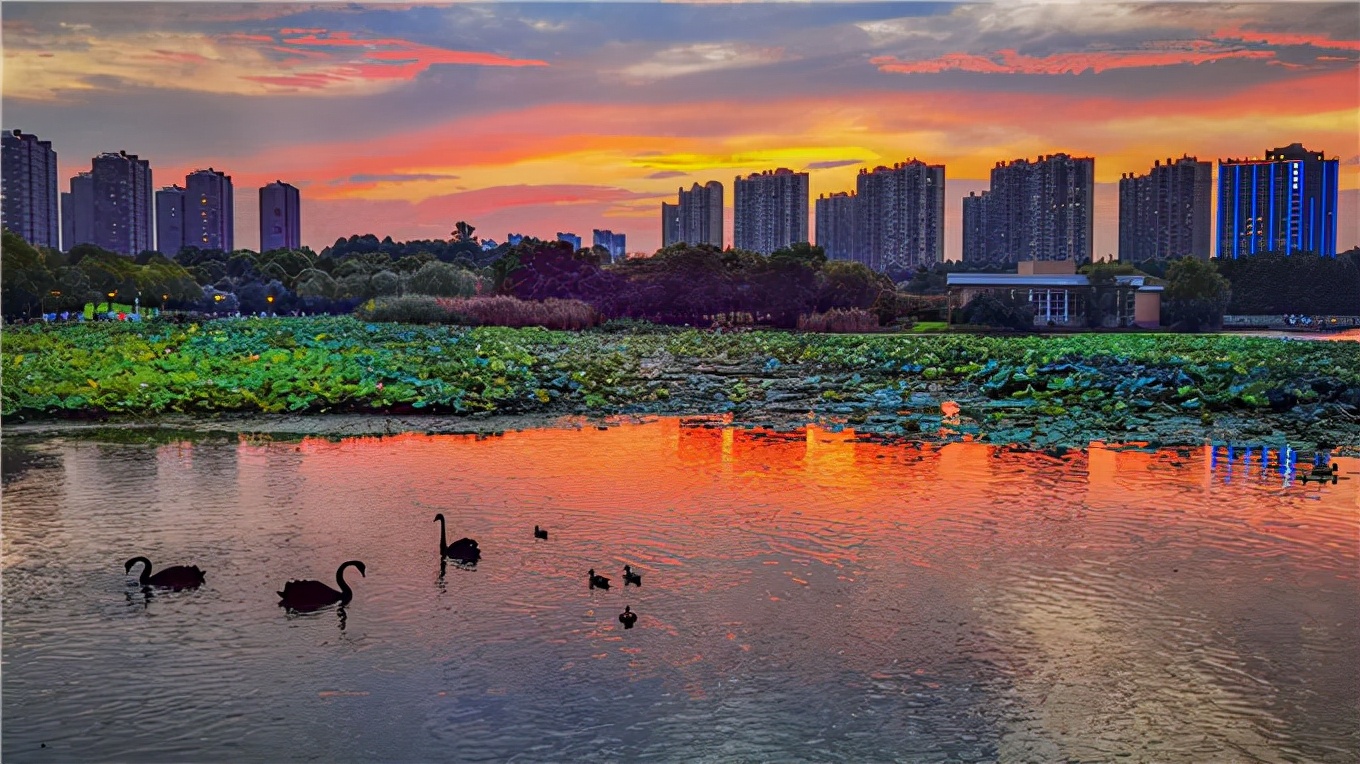 爱运动的小伙伴,爱运动的人看过来