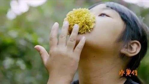 天然去雕饰的《水果传》,给你一场抵挡不住的水果饕餮