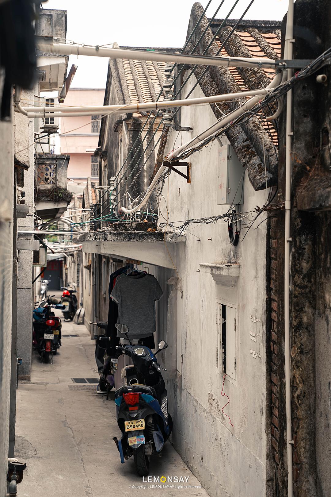 沙井的蚝,沙井为什么这么多蚝