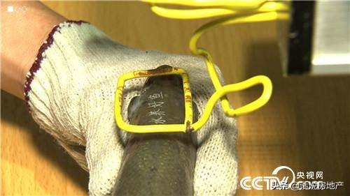 张高立：会跑步的鱼让他一年卖了6000万