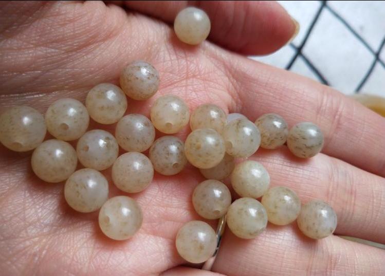 没几个人认识的桂花料，却引起玉友争吵