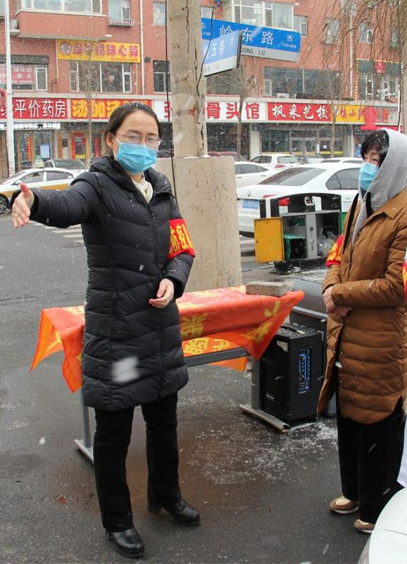 美丽迎春花开了,迎春花盛开的绝美春日盛景
