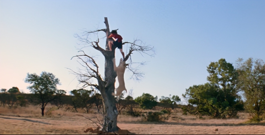 去非洲草原，要怎么做，才能不被狮子吃掉？