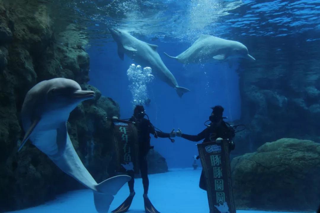 北京冬天亲子旅游攻略,8个国内亲子游旅行地推荐