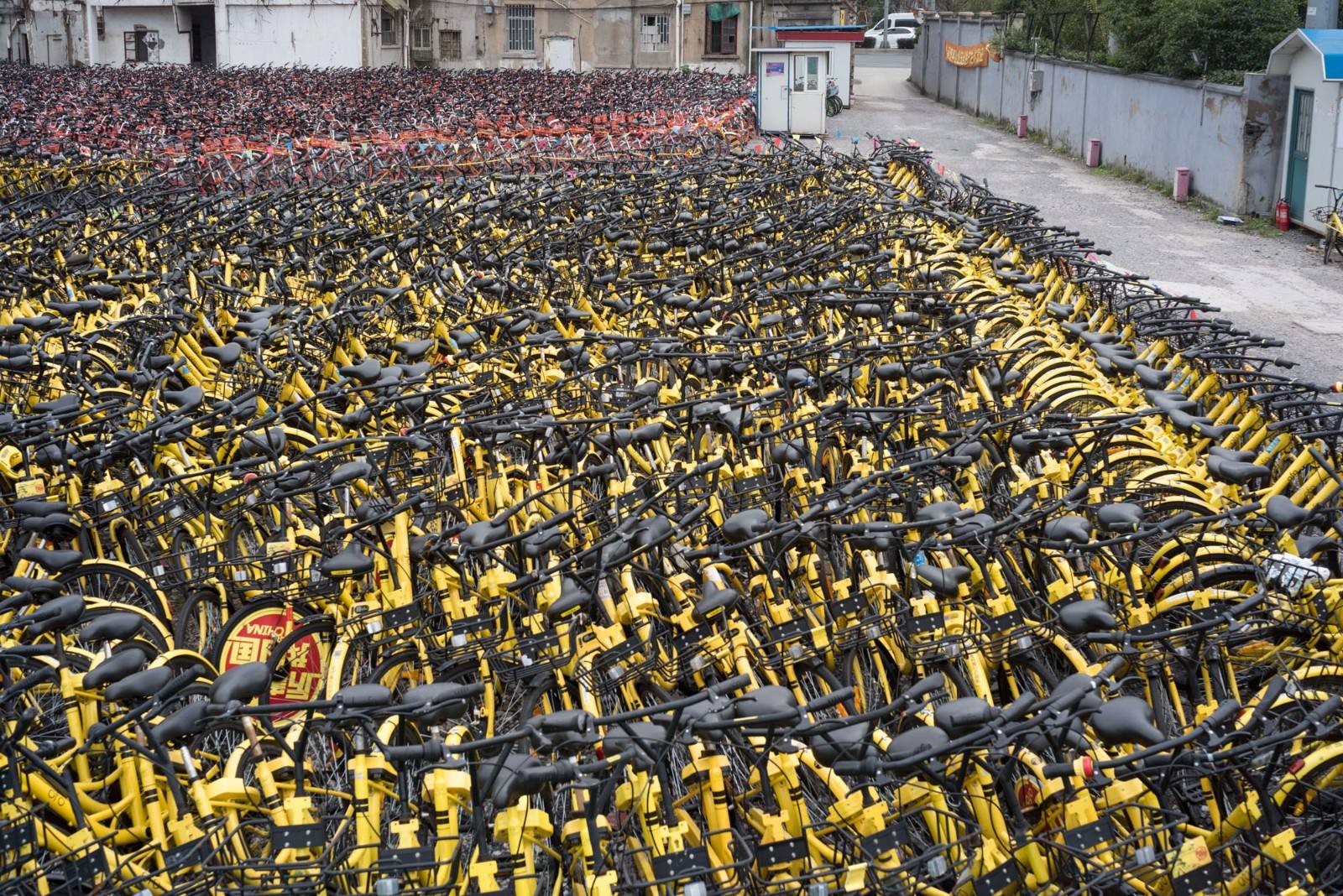 顶级自行车品牌排行榜MARMOT土拨鼠：共享送温暖隔离观察也安心