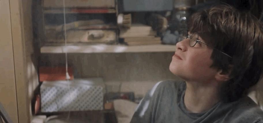 哈利波特的一生,哈利波特人物一生回忆录