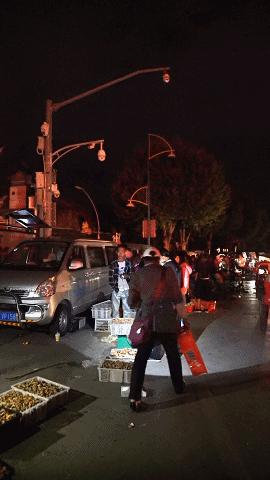 疯狂的松茸,疯狂的野生菌