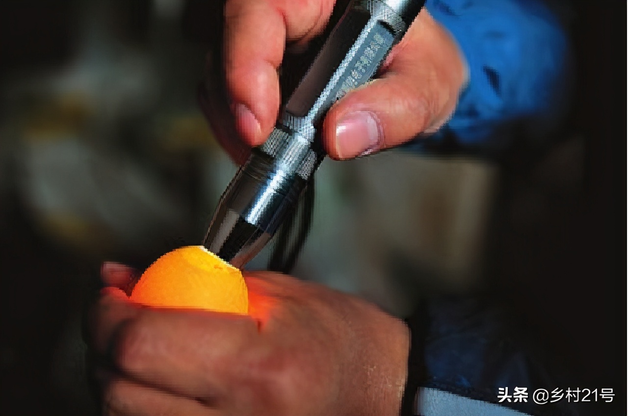 野鸡育苗全过程,野鸡从第一天到孵化的全过程