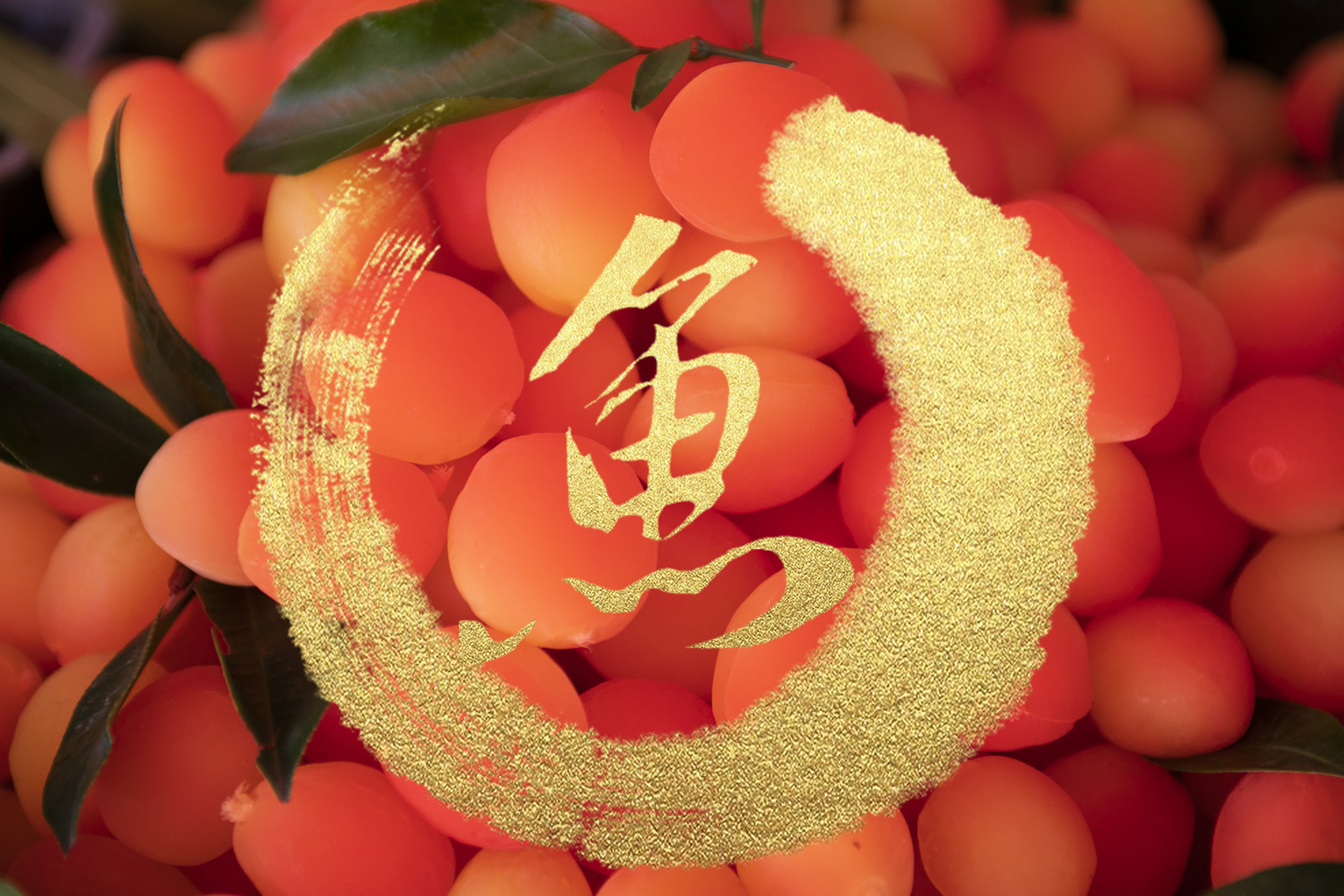 夏季钓鲤鱼小黄面配什么饵料最好,小黄面饵料钓鲤鱼是哪种