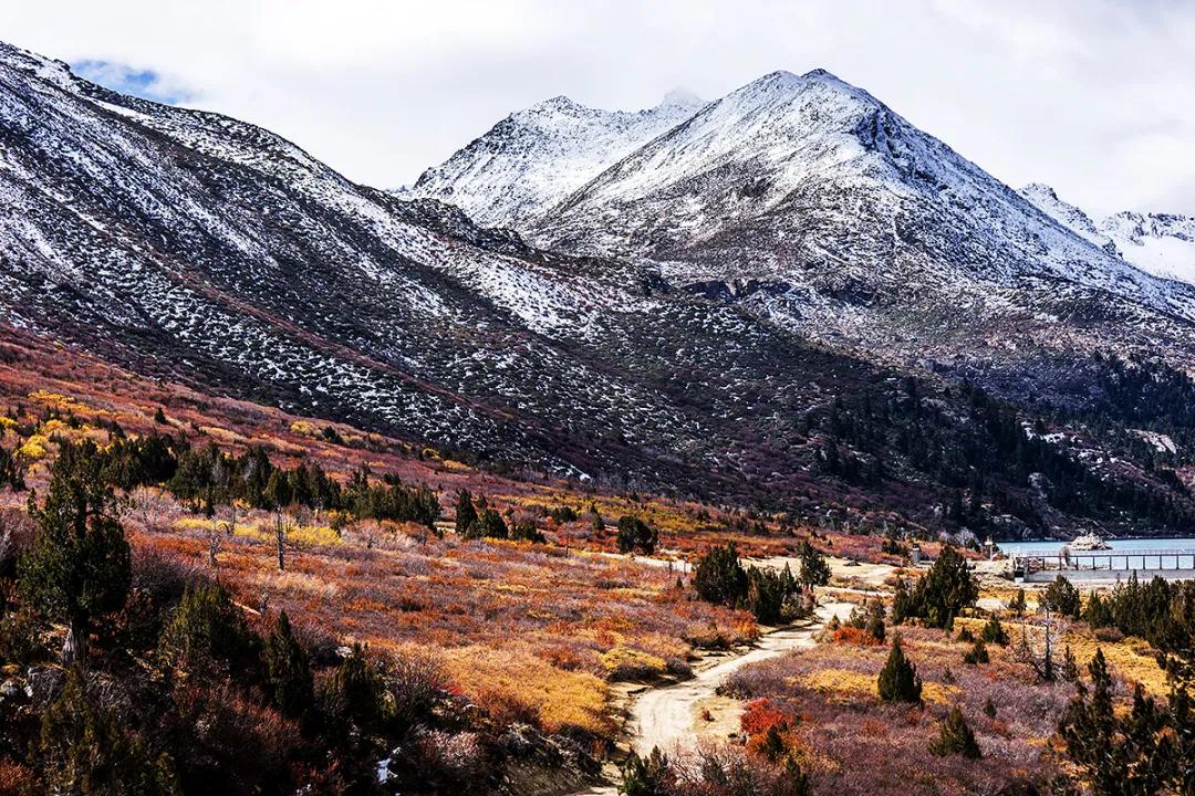 “艳”得失真?不,这就是阳光下的*藏西**洛隆卓玛朗措湖秋色