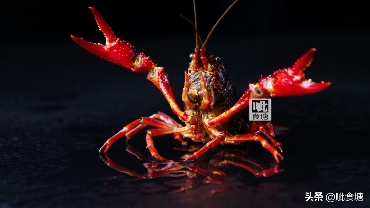不带壳小龙虾最正宗做法,即食麻辣小龙虾推荐