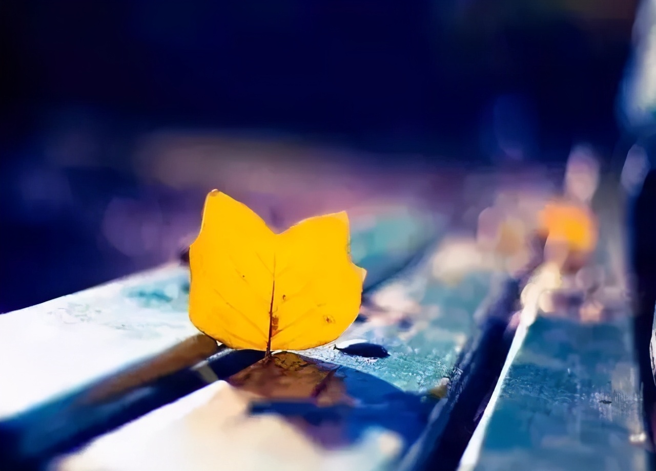 成年后还被父母管,25岁还被父母管着该怎么办