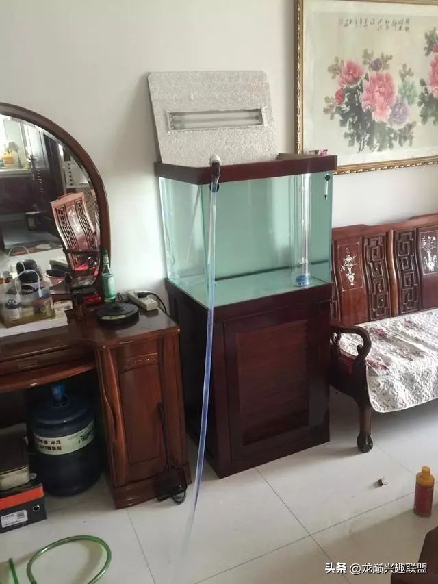 垃圾桶旁边的四方鱼缸，捡回去养了一缸金鱼，别说还挺不错