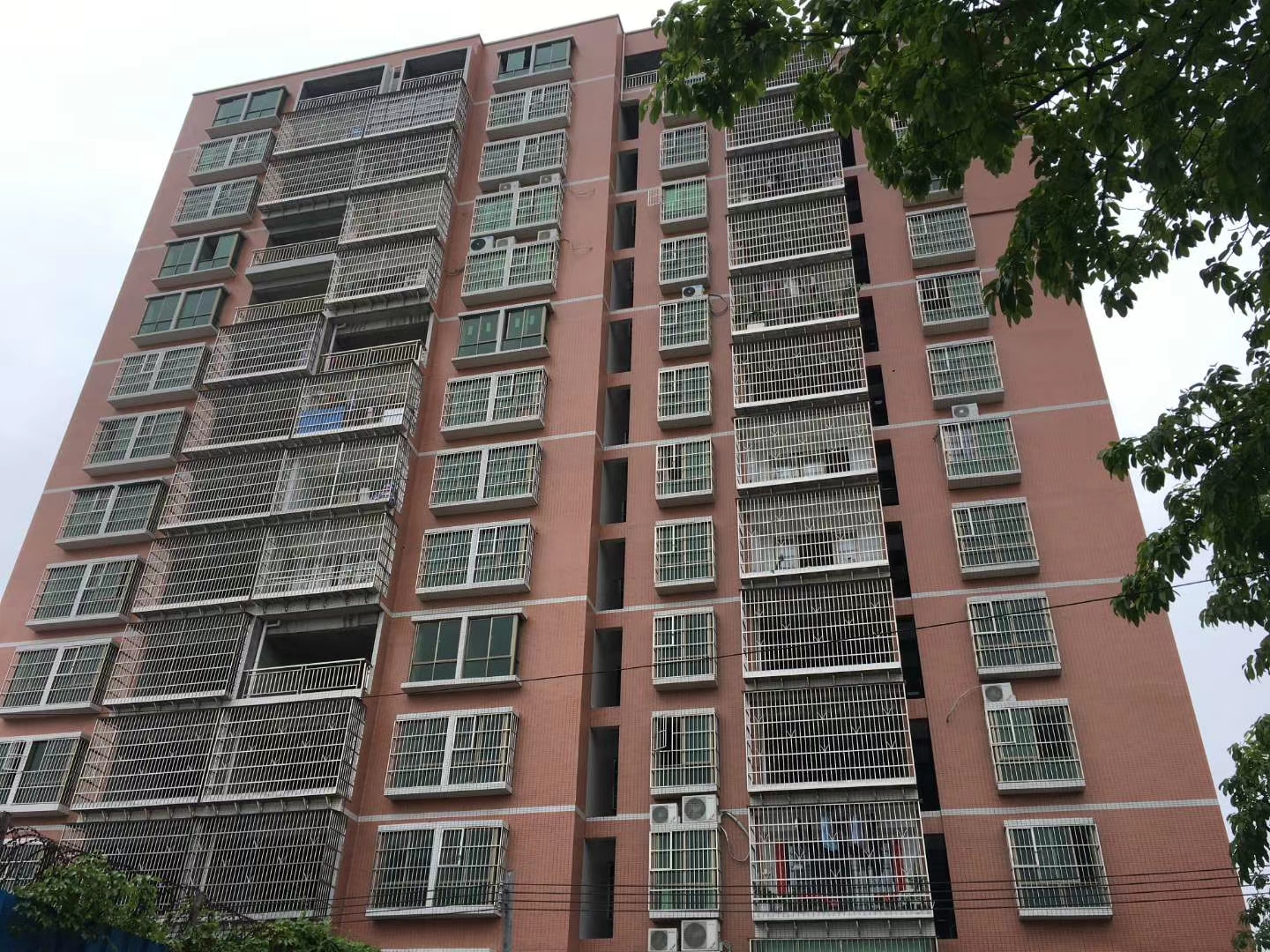 租客包租婆的故事,包租婆与租客的故事