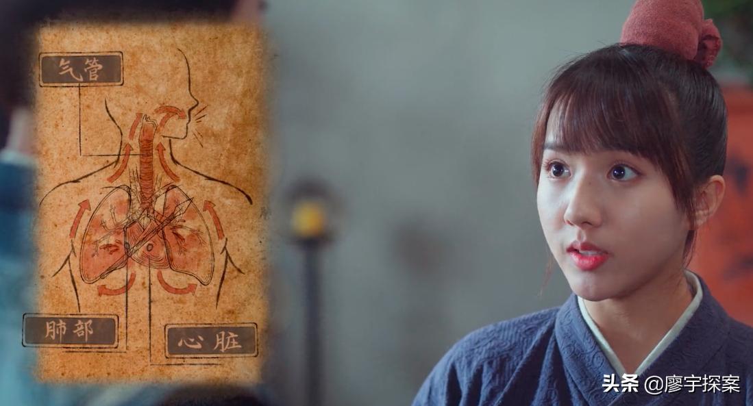 只敢把钱花编剧上的“穷”剧《御赐小仵作》让“亿级剧”的脸放哪