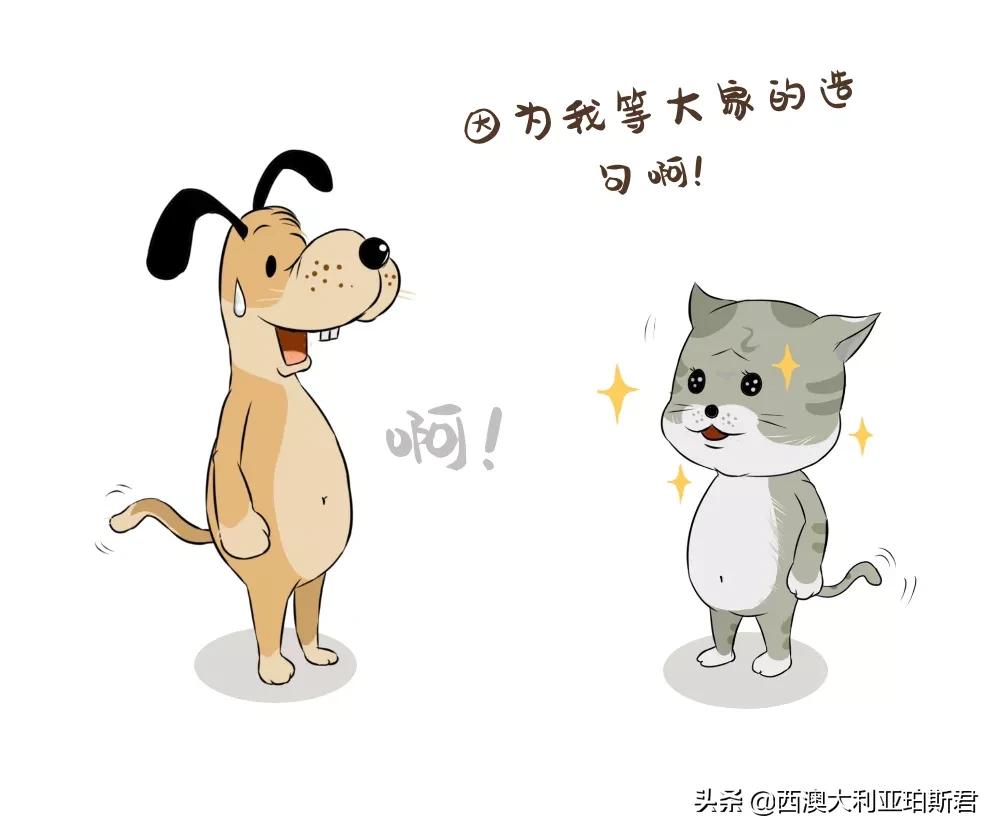 这个梗火爆全网？既然提到privilege，那就说说西澳人的高傲在哪