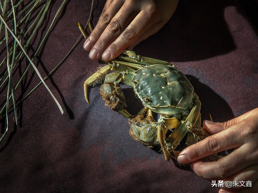 正是蟹肥稻香时，高淳与你来一场“蟹逅慢城美食之约”