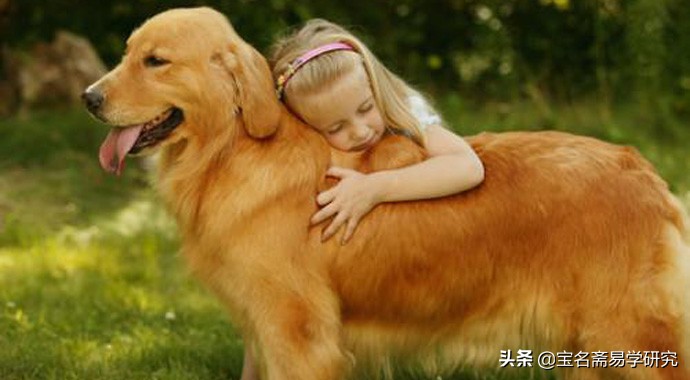 怎么判断名字五行缺什么,从小区名字怎么判断小区档次