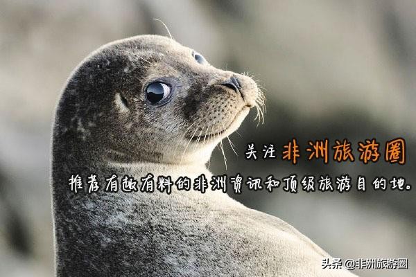 南非球场,南非传奇球场