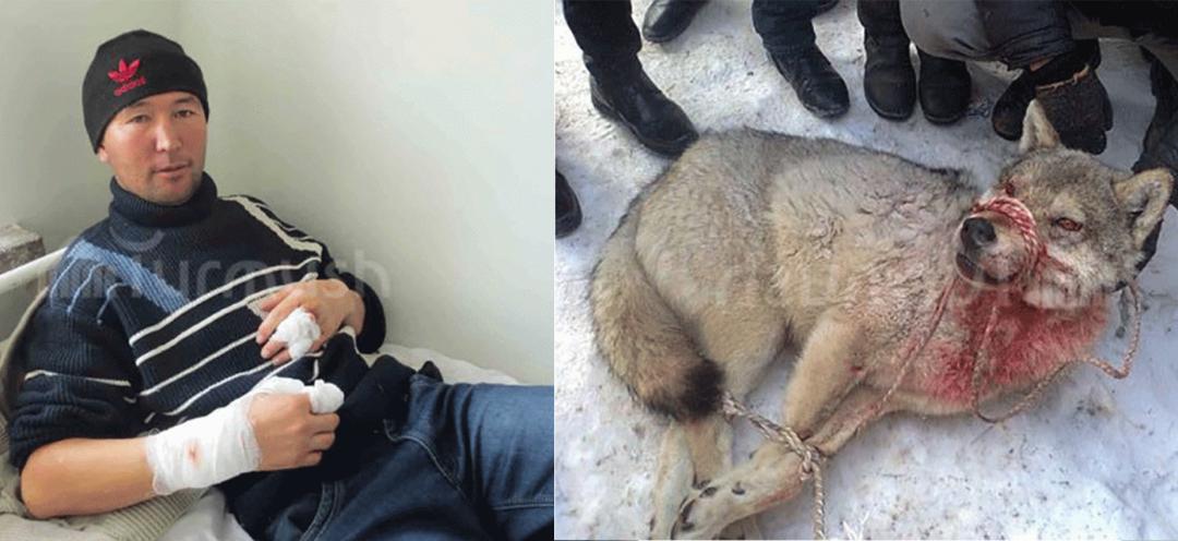 赤手空拳打野兽有用吗,人赤手空拳有可能打过老虎吗