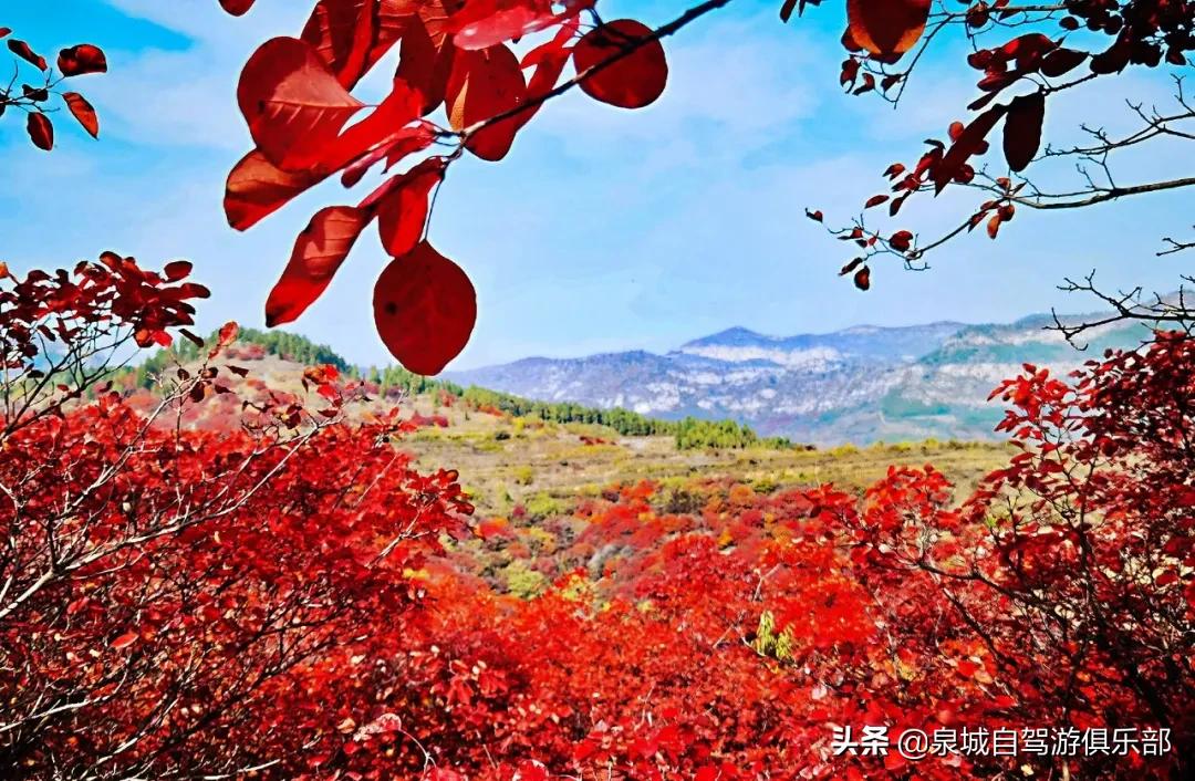 济南的自然风景推荐,济南自然风景好的地方