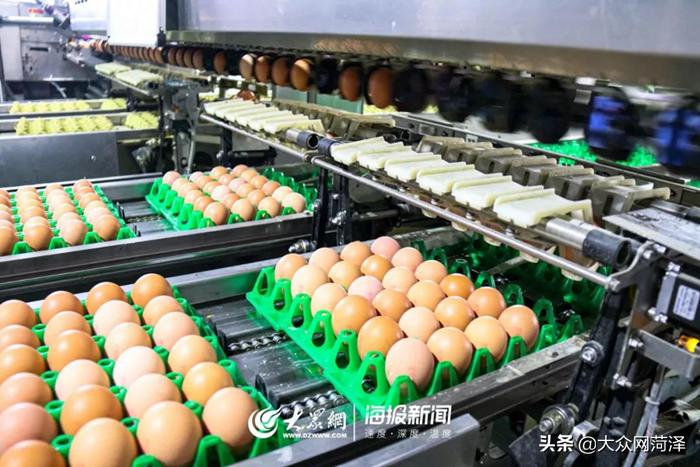 1元微力量捐款到武汉|30枚爱心鲜鸡蛋26.8元,顺丰包邮到家