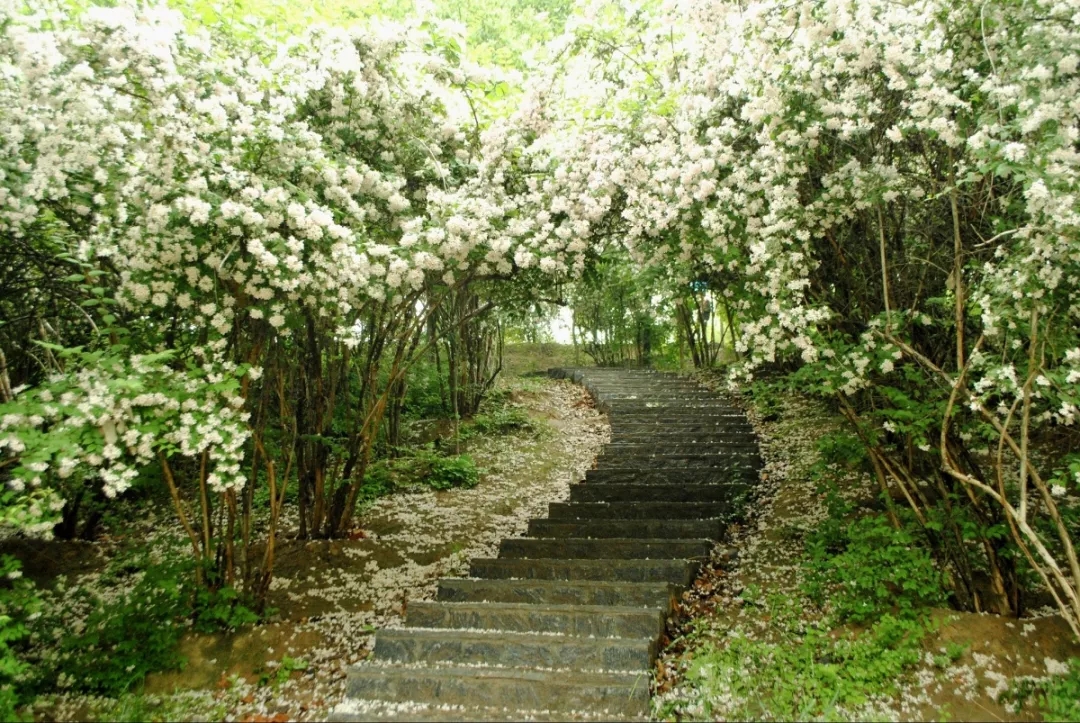 我最怀念的路——郑师之路