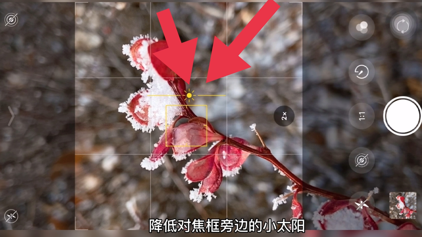 苹果手机拍照需要注意什么,一学就会的iphone手机摄影技巧