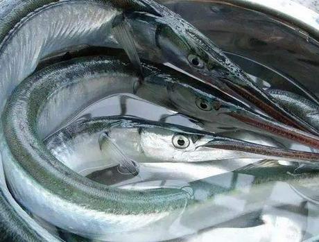 煎鱼时油溅到脸上会留疤吗,煎鱼油溅起来