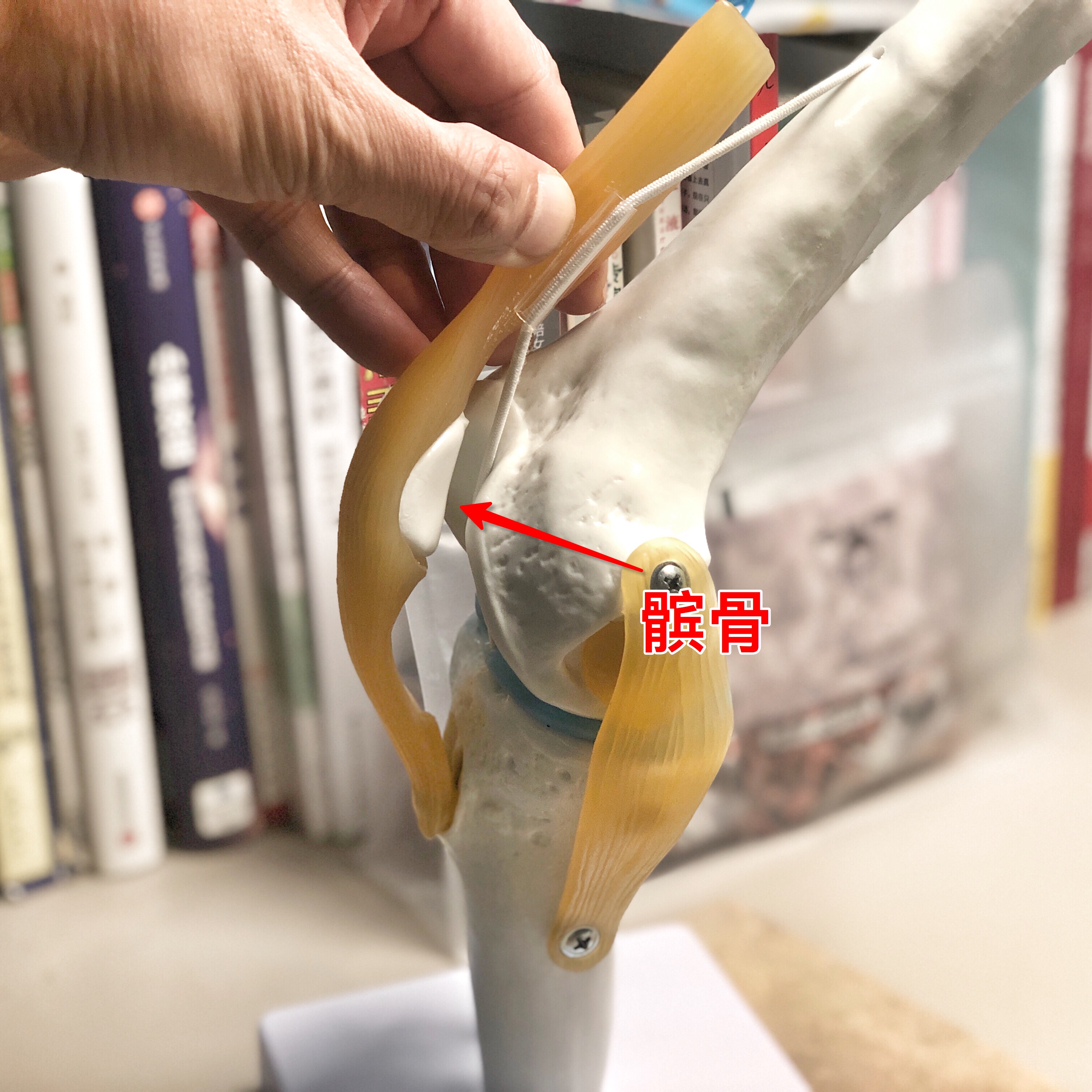 减肥意志力差怎么办啊,减肥思想很煎熬怎么办