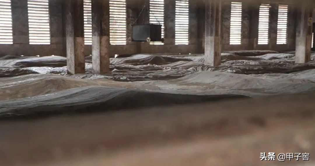 自古黔人多善酿，贵派浓香技艺独