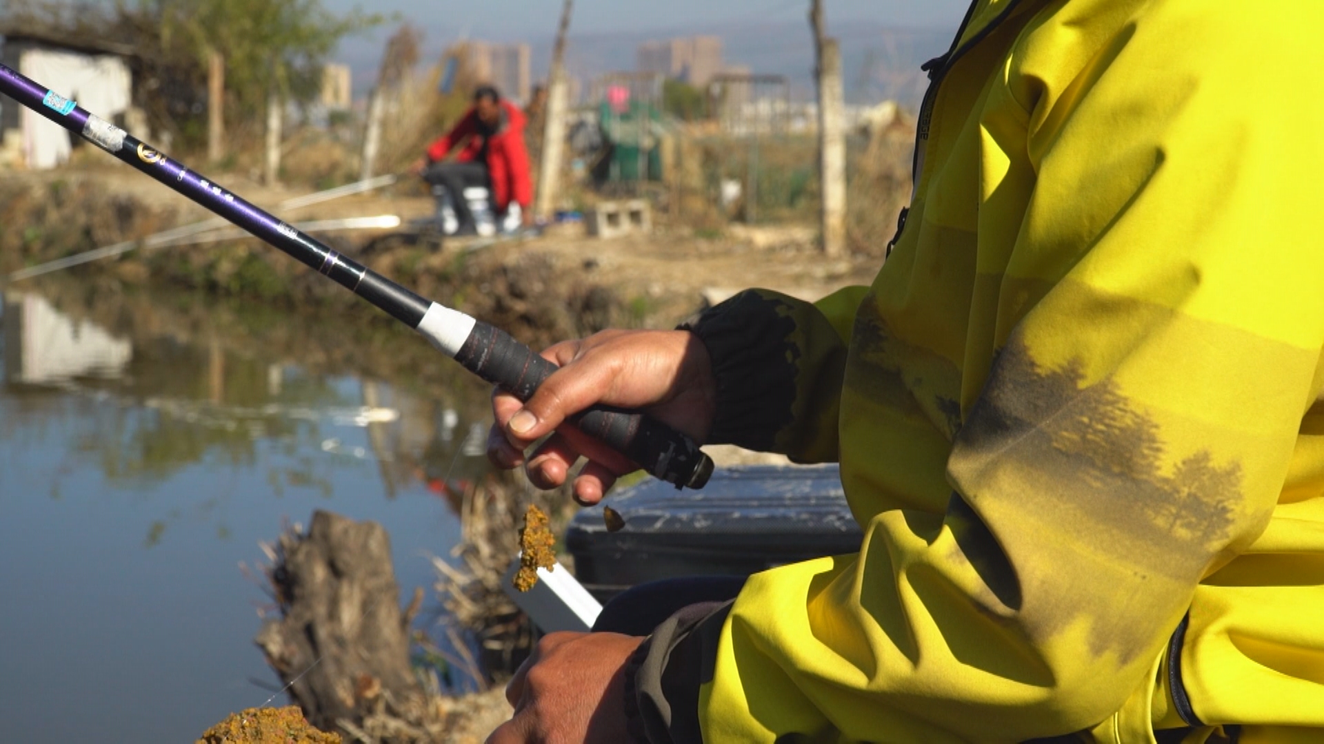 200元左右偷驴竿子,200元偷驴