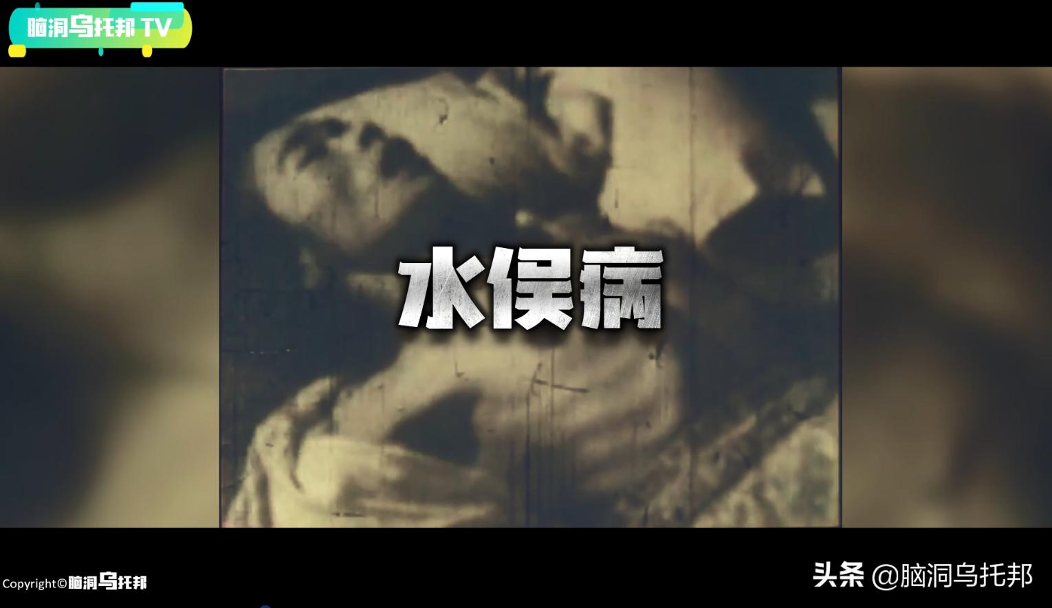 万只猫集体跳海，一场只有死亡才能终结的诅咒！日本诡异事件真相