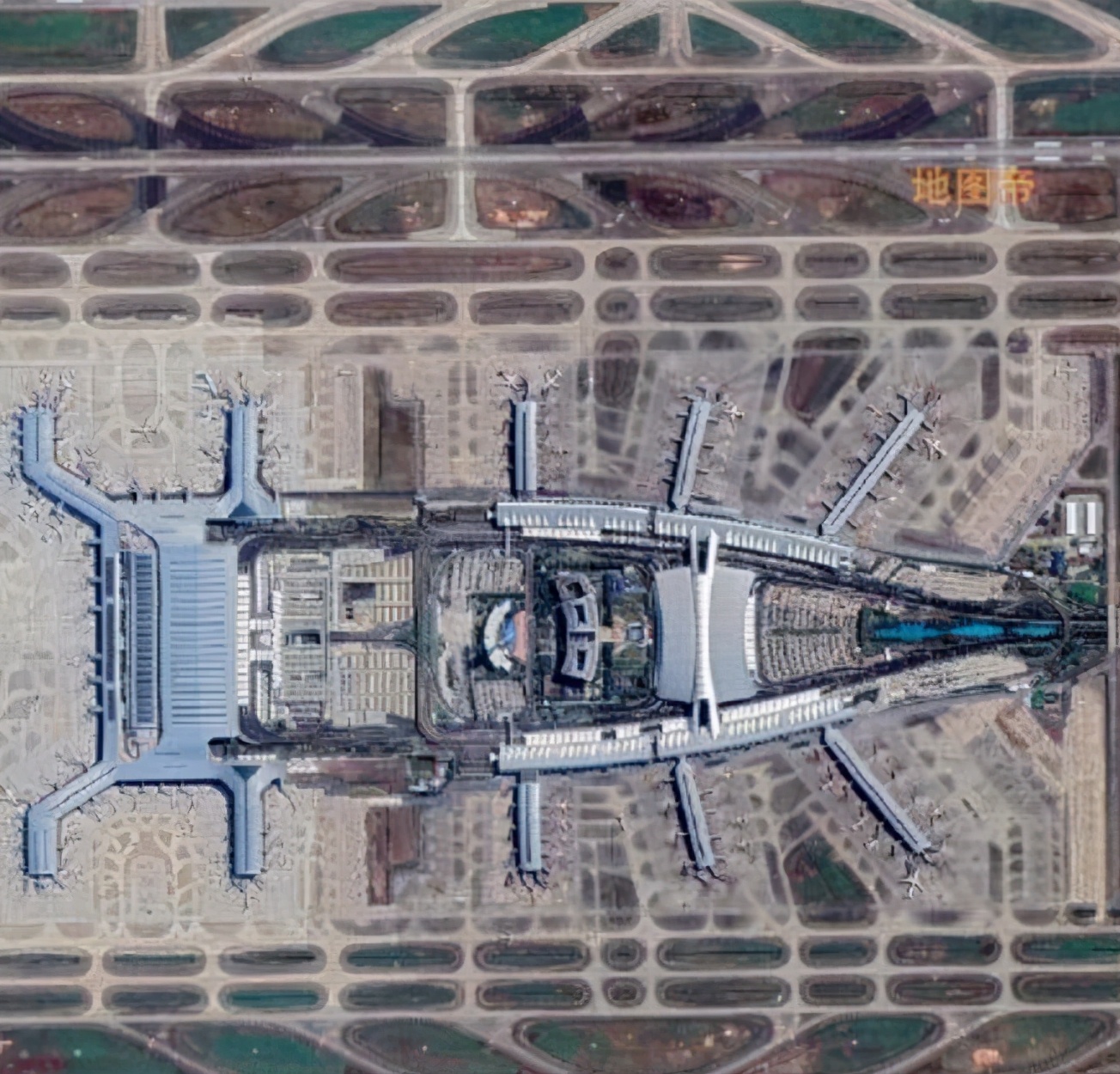 南方蟑螂和北方蟑螂对比恶搞,南方大蟑螂吓哭北方人