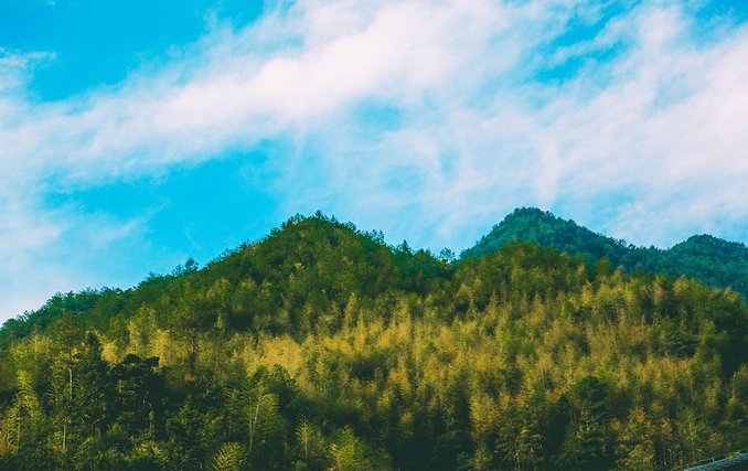 一起游玩泰顺,小众旅游泰顺