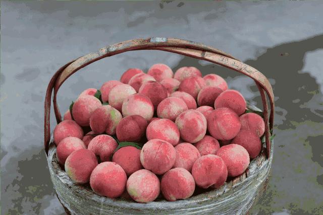 邂逅秋天的千岛湖！光看图已美醉，住这7家美宿避开人群赏湖景山色