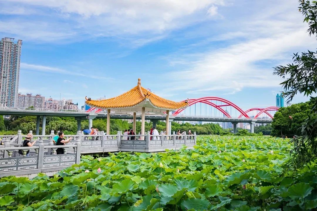 放假在深圳能去哪里玩,放假了可以去深圳的哪些地方玩