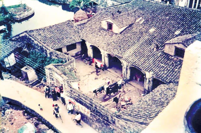 南怀瑾大师泄露的秘方,南怀瑾大师泄露秘方