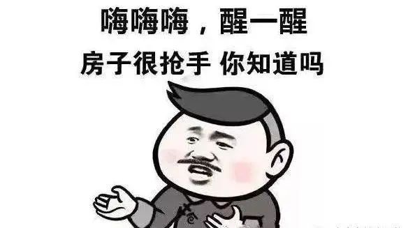 厦门打击炒房,厦门打击炒房行为