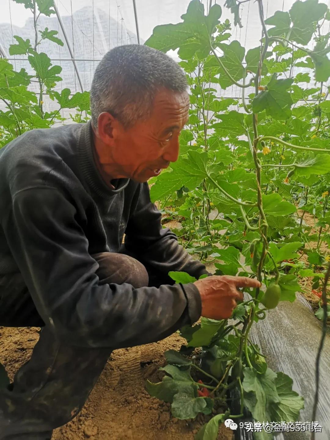 我和我的村党支部,我和我的党支部优秀图片