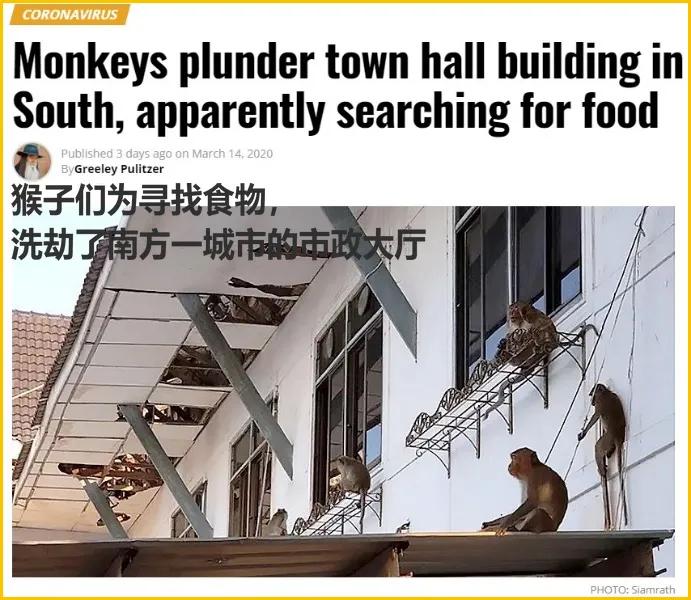 少了中国游客，整个旅游生态圈都乱了！